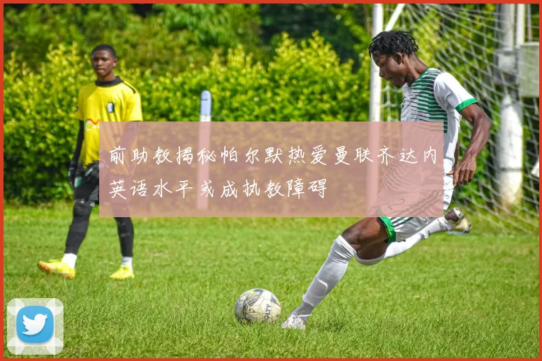 前助教揭秘帕尔默热爱曼联齐达内英语水平或成执教障碍