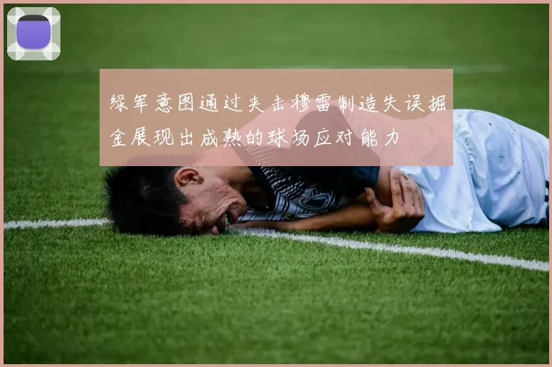 绿军意图通过夹击穆雷制造失误掘金展现出成熟的球场应对能力